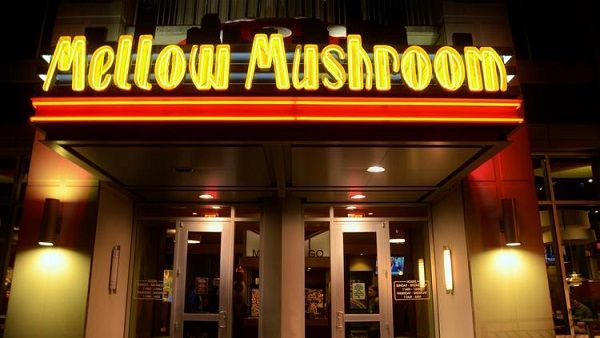 Tellmellow - Get Free Coupon - Mellow Mushroom Survey